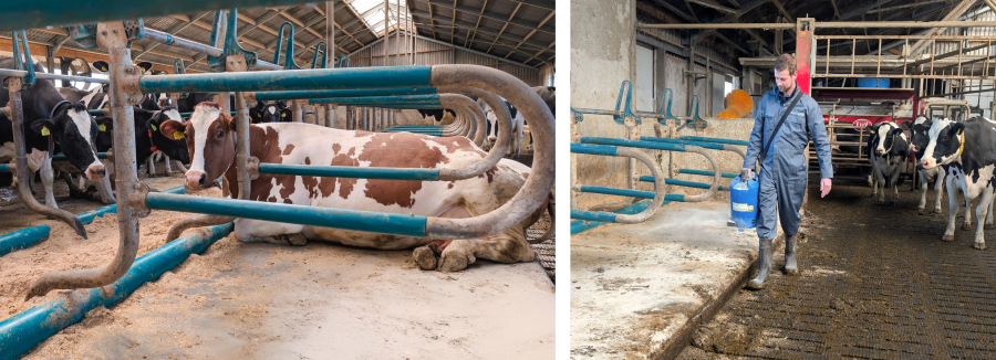 Vink poederstrooier HygieneFX