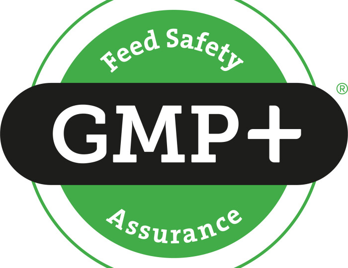 GMP logo