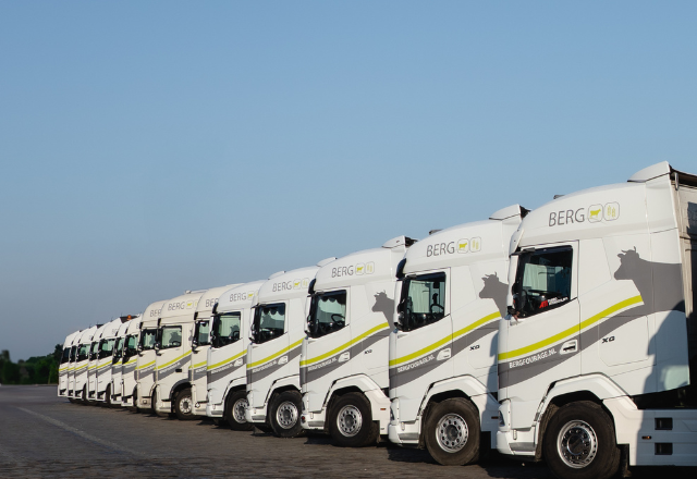 Berg vrachtwagens op een rij 