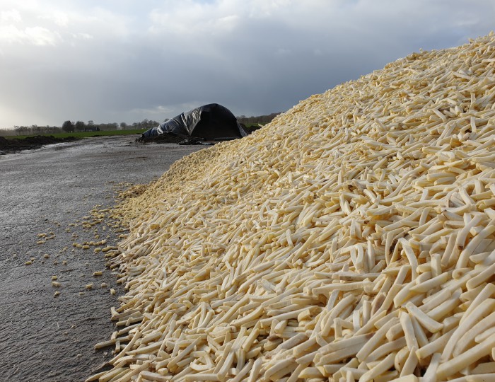 voorgebakken friet in praktijk4 - Berg Fourage