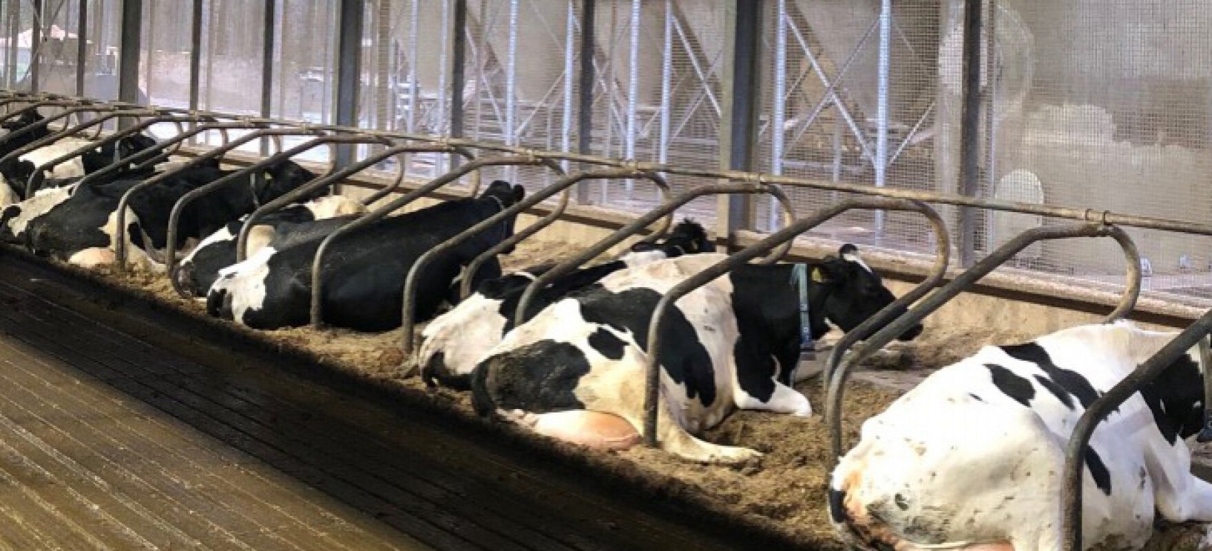 Bedding FX | in praktijk 2 | Berg Fourage