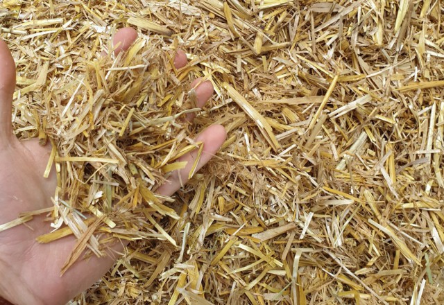 Betaalbare voer- en strooiselalternatieven | Berg Fourage